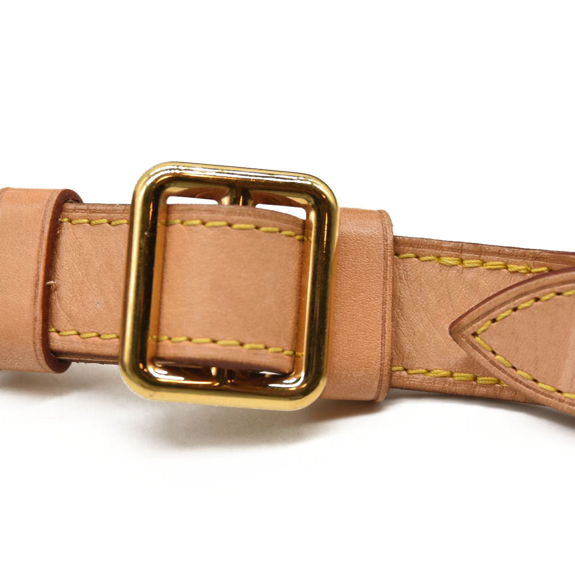 LOUIS VUITTON Monogram Bumbag CA4220