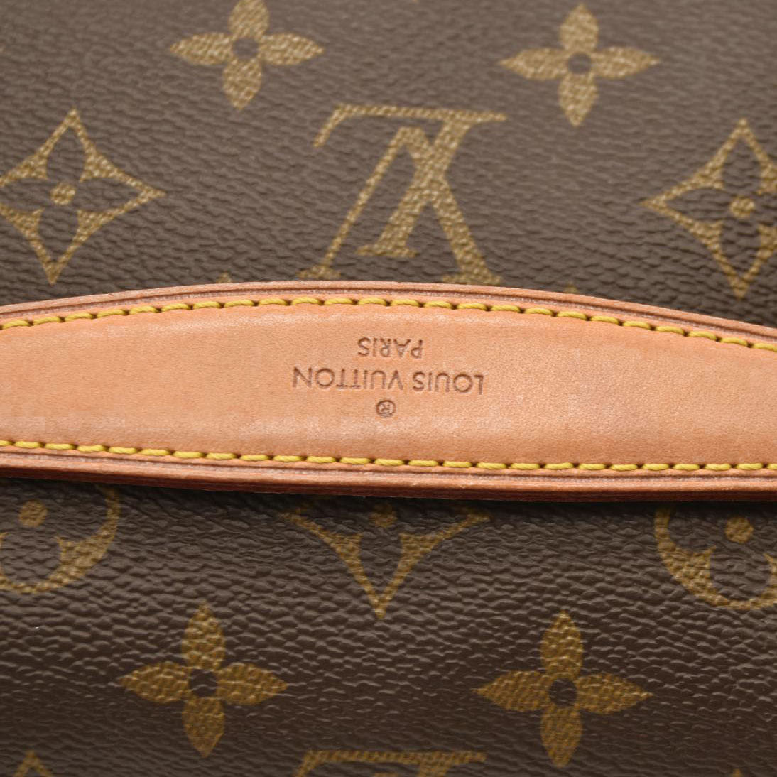 LOUIS VUITTON Monogram Bumbag CA4220
