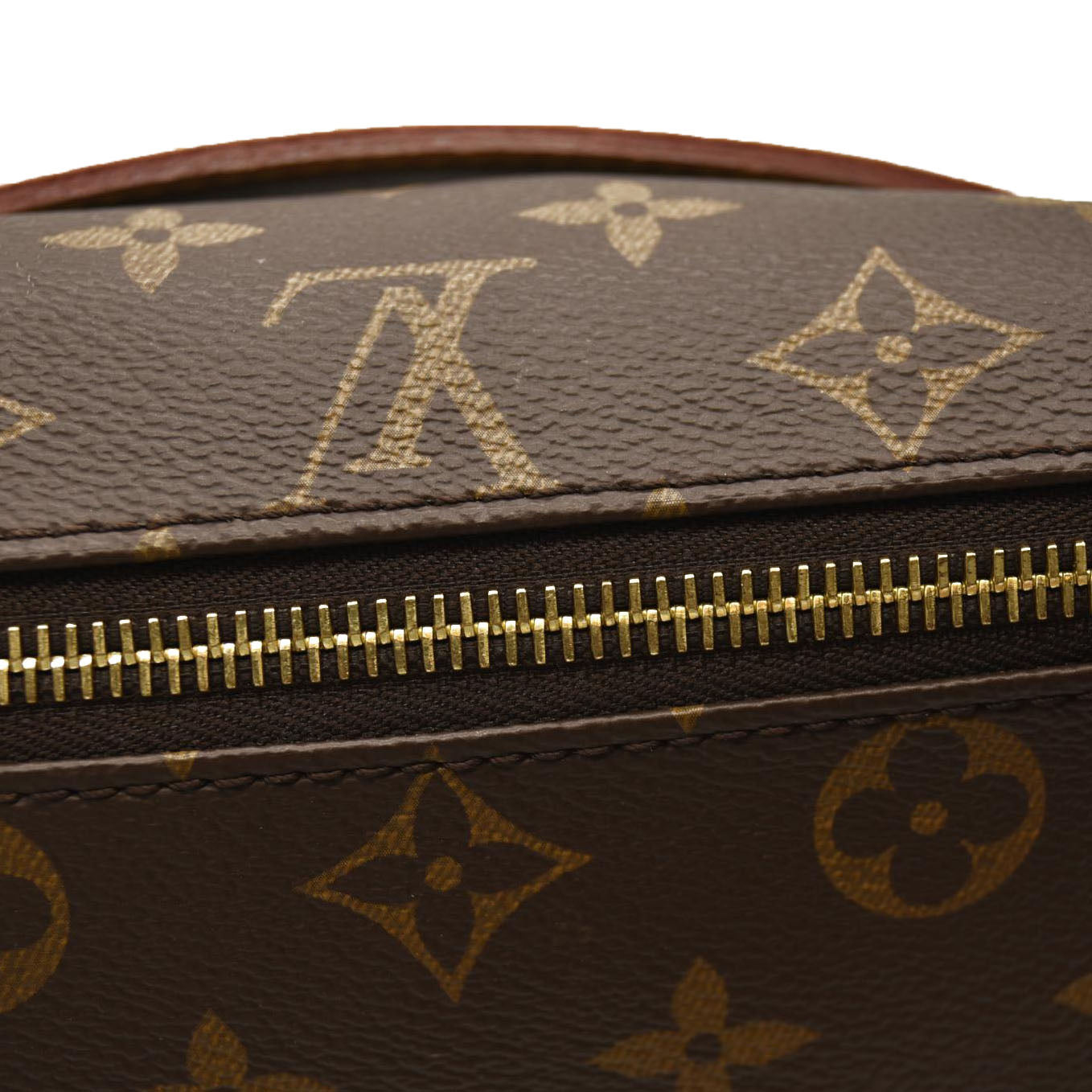 LOUIS VUITTON Monogram Bumbag CA4220