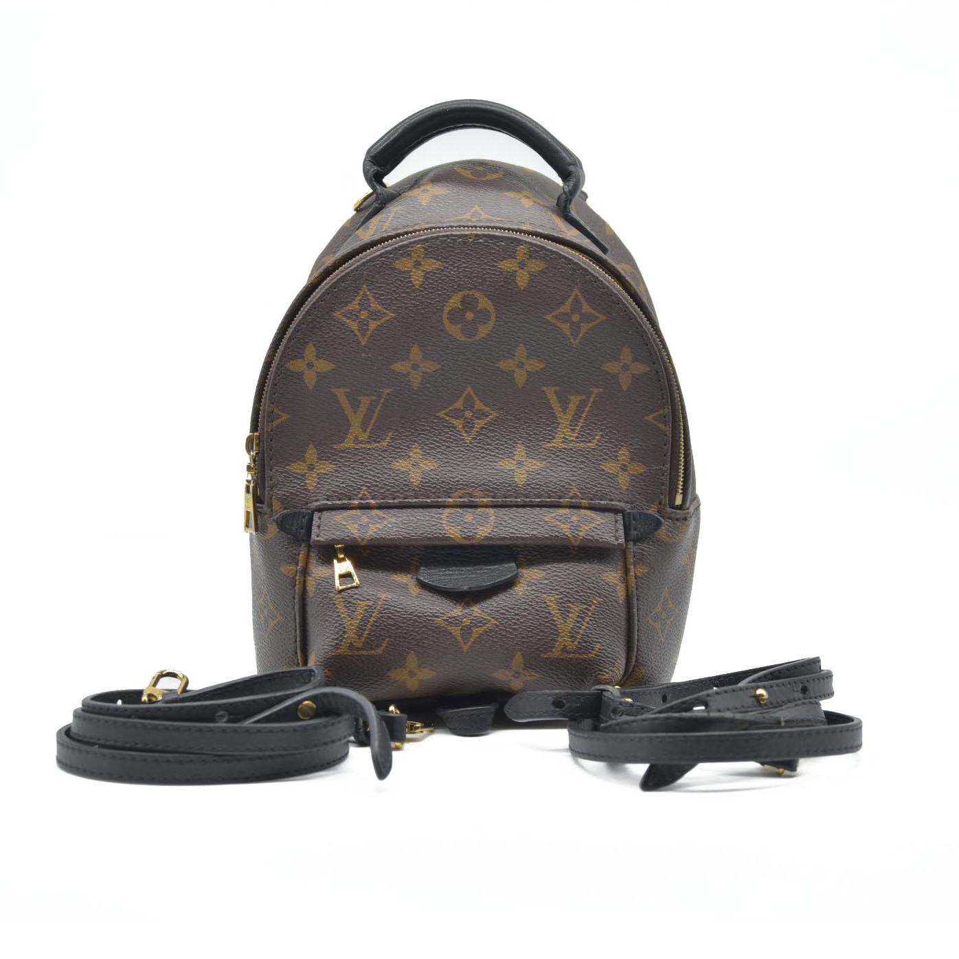 $2690 Louis Vuitton LV Monogram Palm Springs Mini
