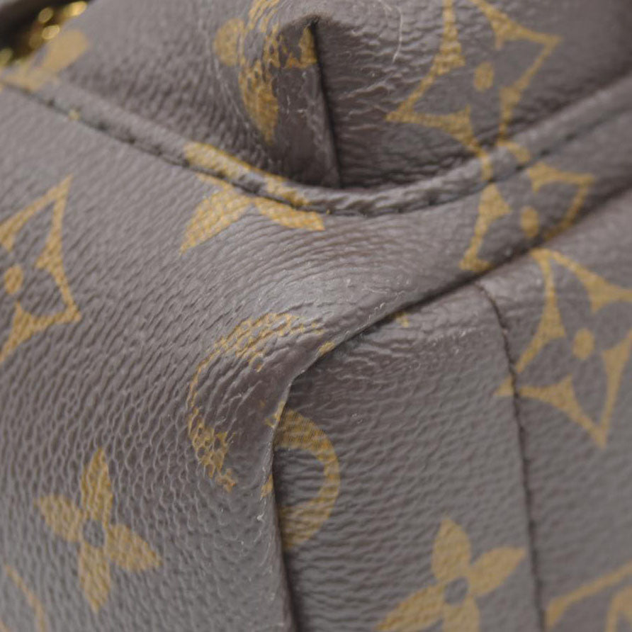 $2690 Louis Vuitton LV Monogram Palm Springs Mini