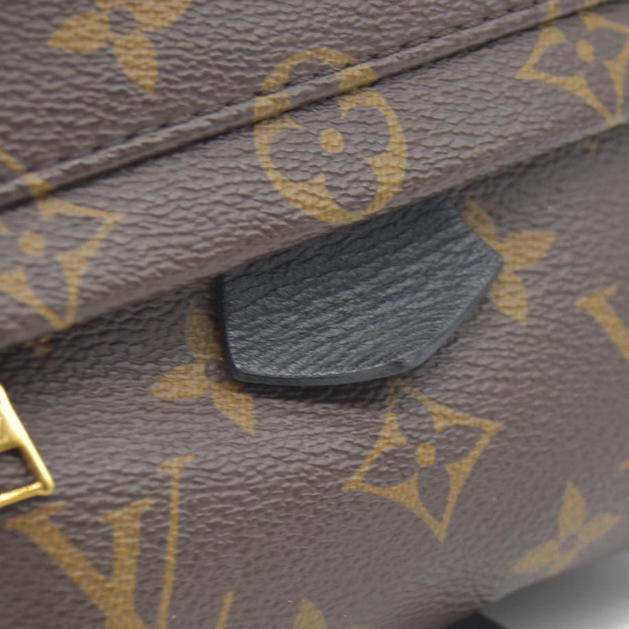 $2690 Louis Vuitton LV Monogram Palm Springs Mini