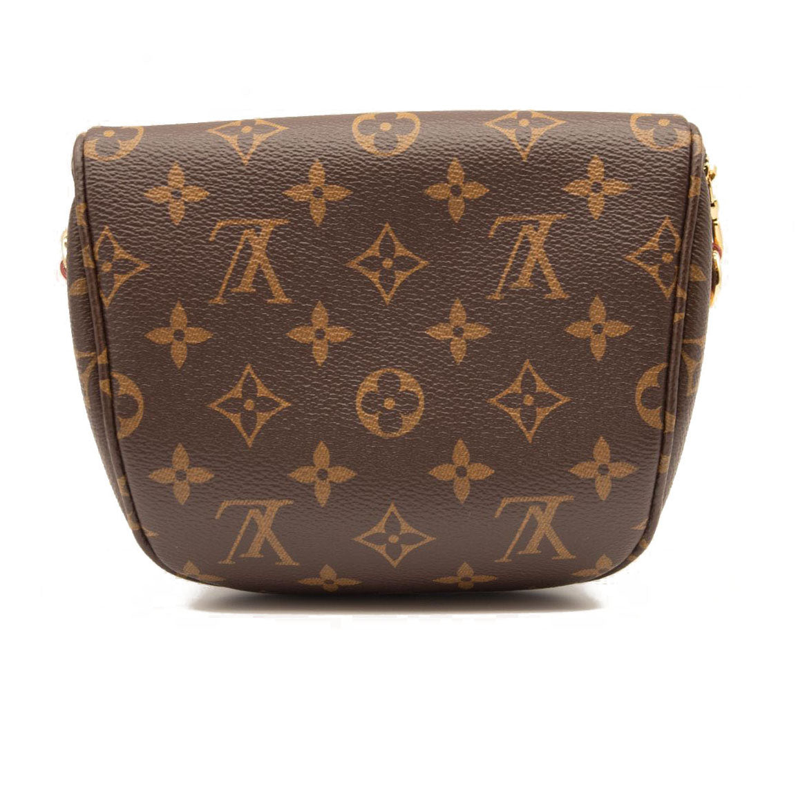 NEW LOUIS VUITTON Monogram Mini Bumbag