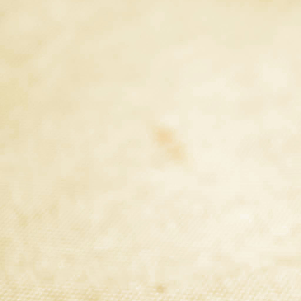 $2750 Hermes  Toile Herbag MM Natural