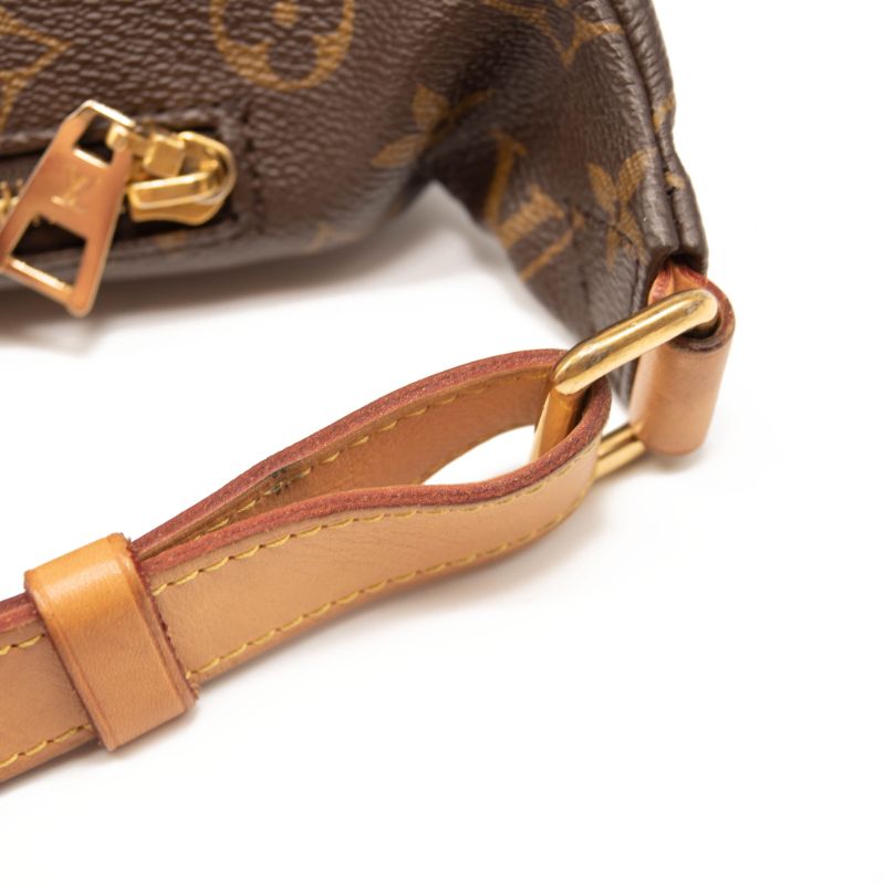 Louis Vuitton Bumbag Brown Monogram Canvas Messenger Bag Fanny Pack 2020