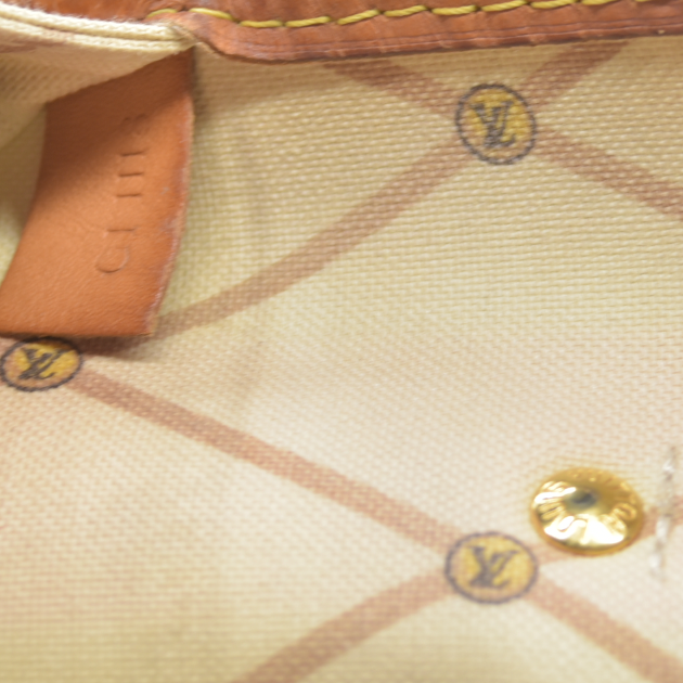 AUCTION $2170 Louis Vuitton  Monogram Summer Trunks Neo Neverfull MM