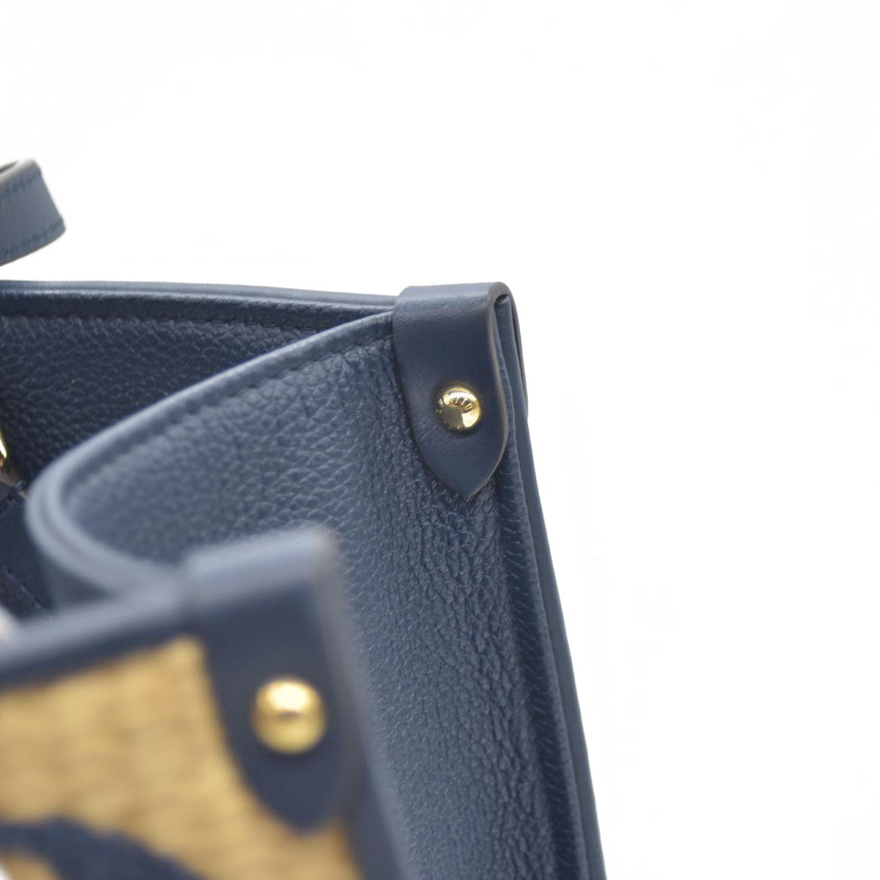 Louis Vuitton Raffia Calfskin Monogram Giant Onthego MM Blue