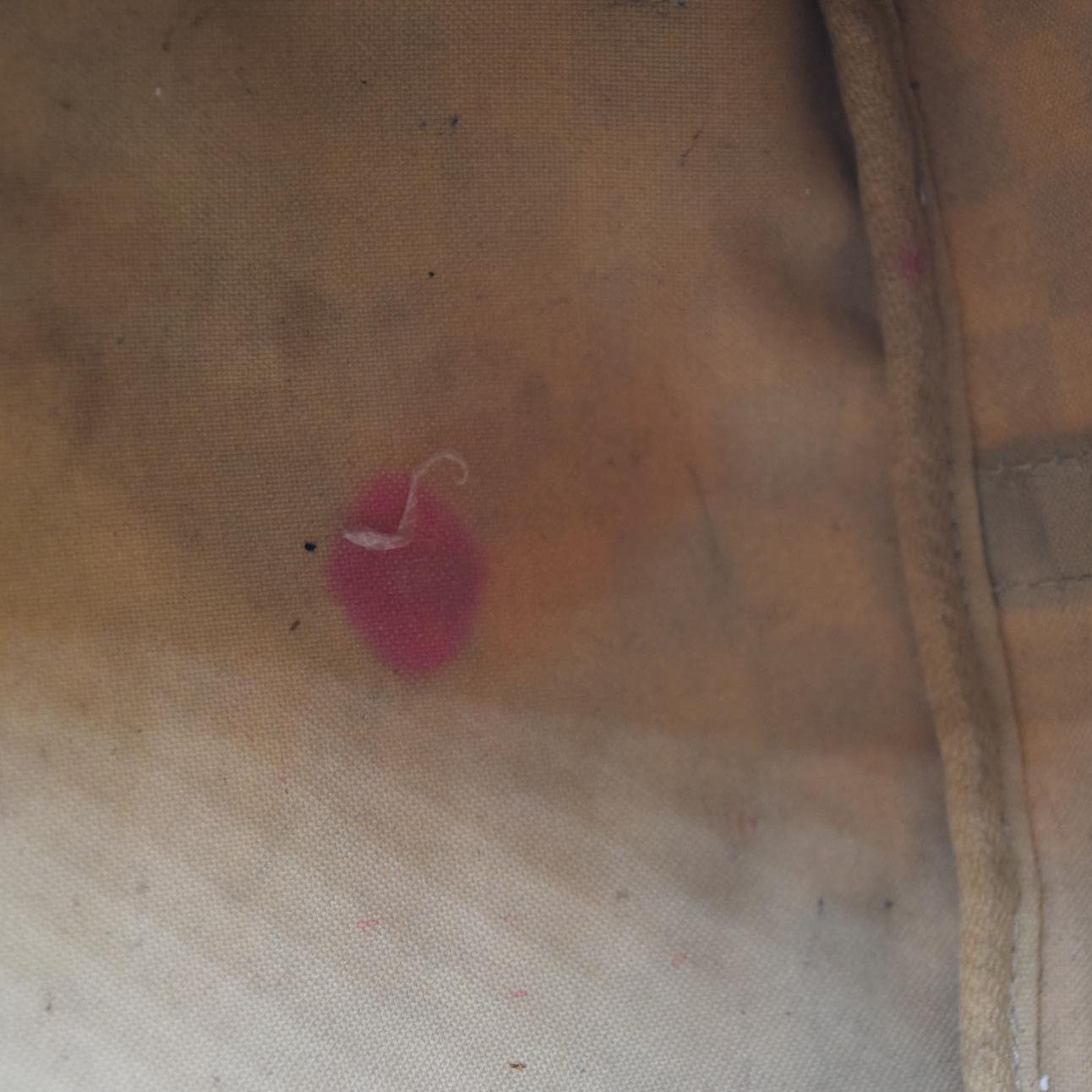 Louis Vuitton  Damier Azur Speedy Bandouliere 30 SP3103