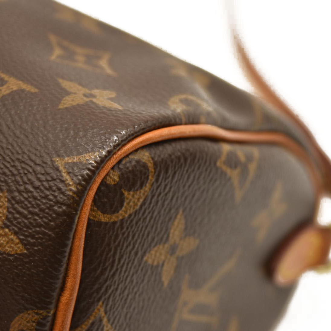 Louis Vuitton  Monogram Nano Speedy