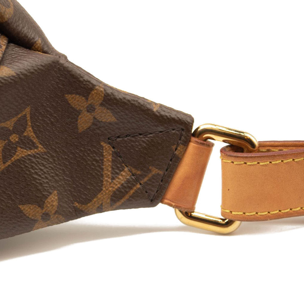 LOUIS VUITTON Monogram Bumbag MICROCHIPPED