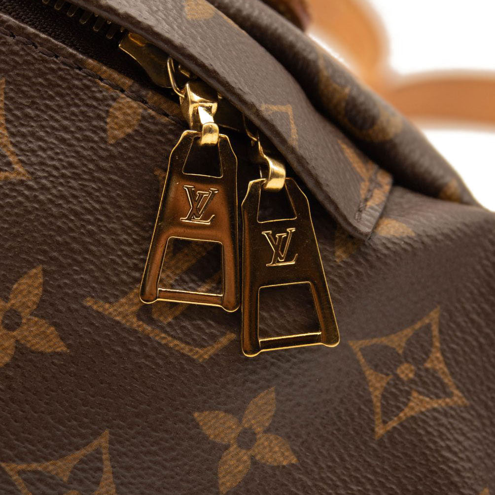 LOUIS VUITTON Monogram Bumbag MICROCHIPPED