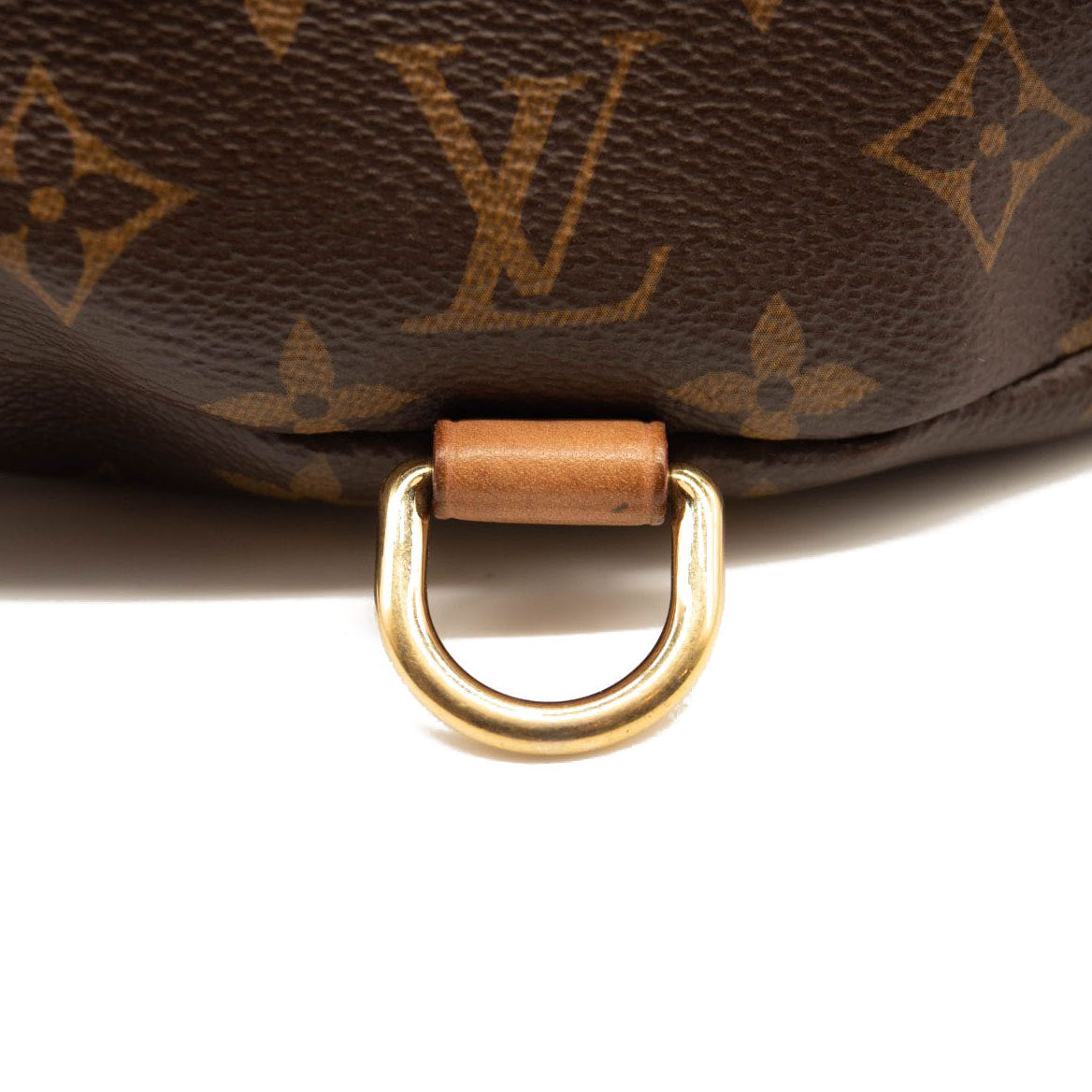 LOUIS VUITTON Monogram Bumbag MICROCHIPPED