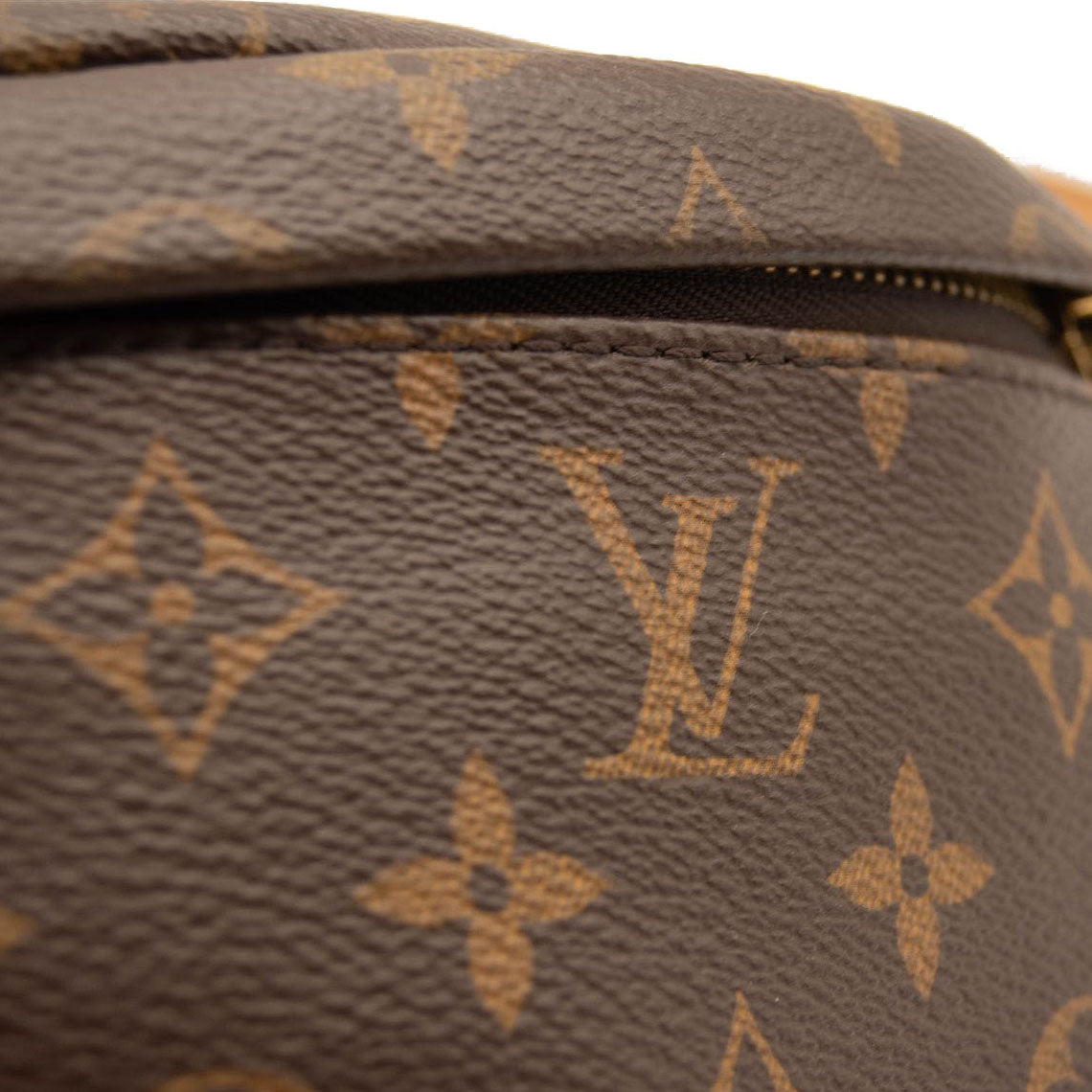 LOUIS VUITTON Monogram Bumbag MICROCHIPPED