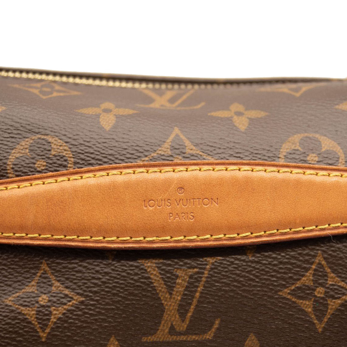 LOUIS VUITTON Monogram Bumbag MICROCHIPPED