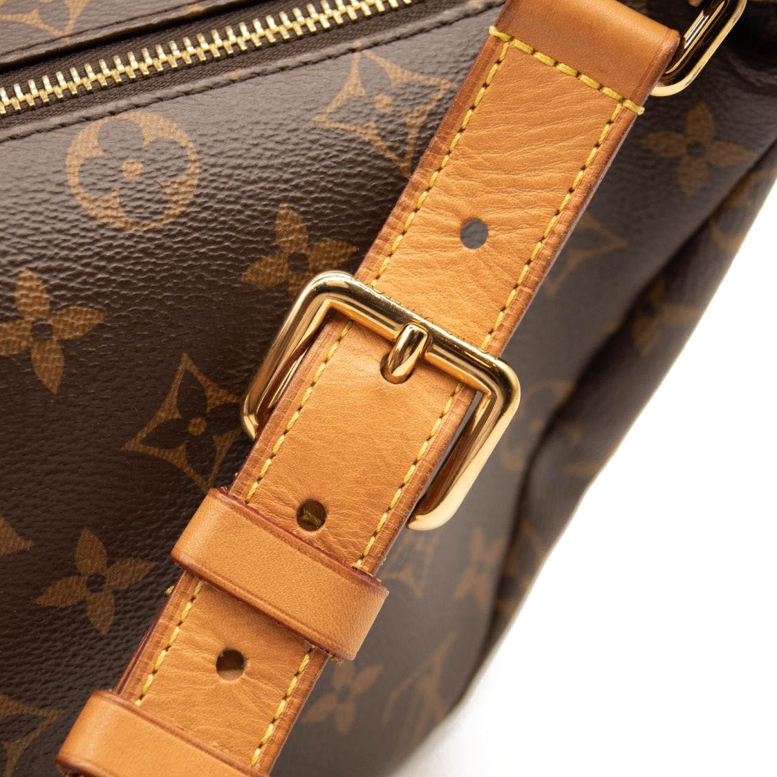 LOUIS VUITTON Monogram Bumbag MICROCHIPPED