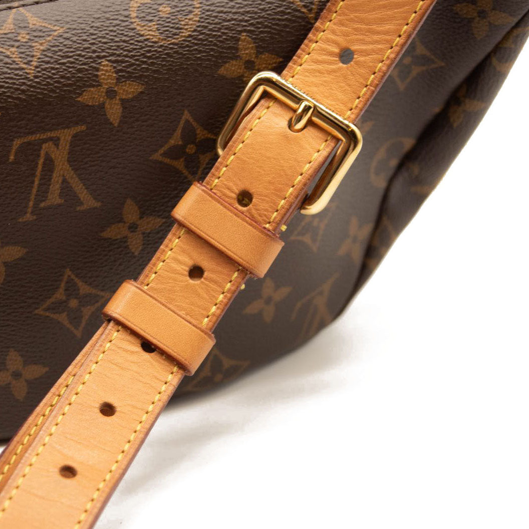 LOUIS VUITTON Monogram Bumbag MICROCHIPPED