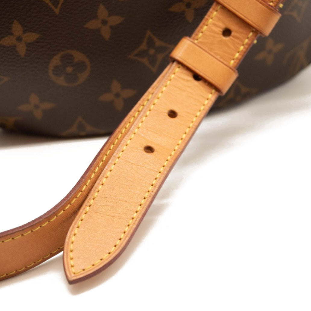 LOUIS VUITTON Monogram Bumbag MICROCHIPPED