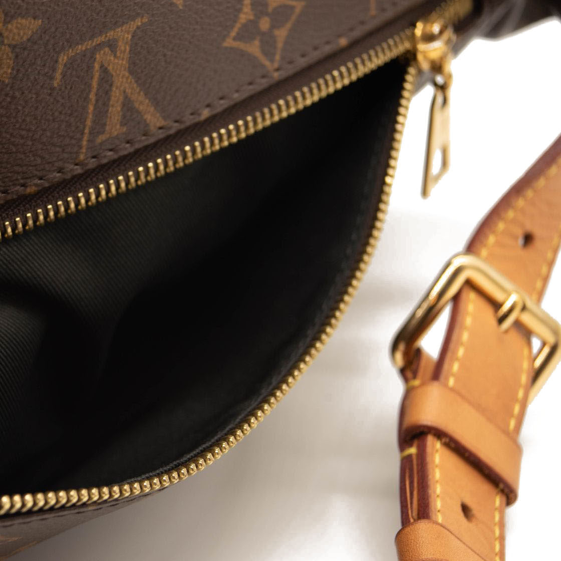 LOUIS VUITTON Monogram Bumbag MICROCHIPPED