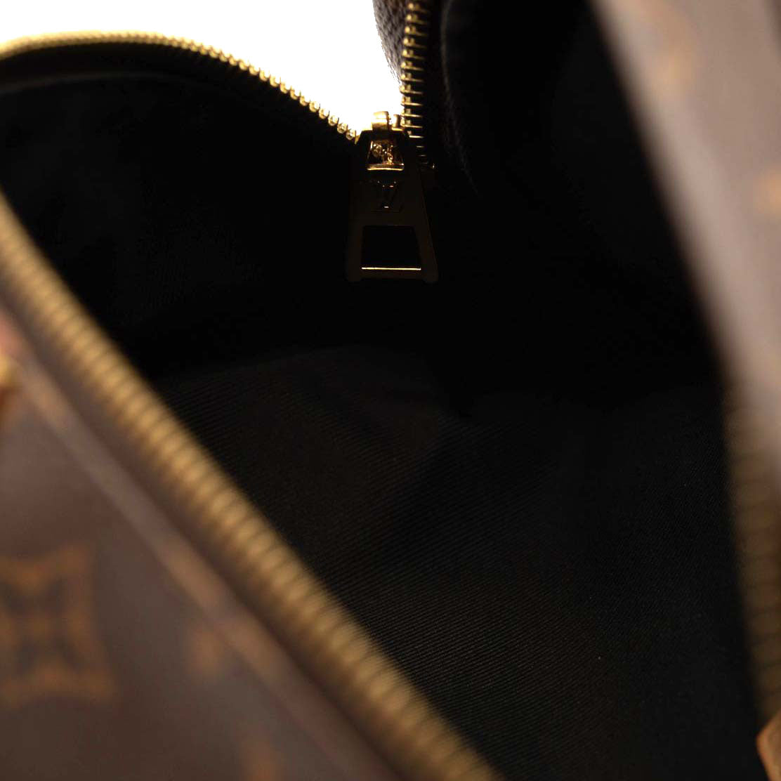 LOUIS VUITTON Monogram Bumbag MICROCHIPPED