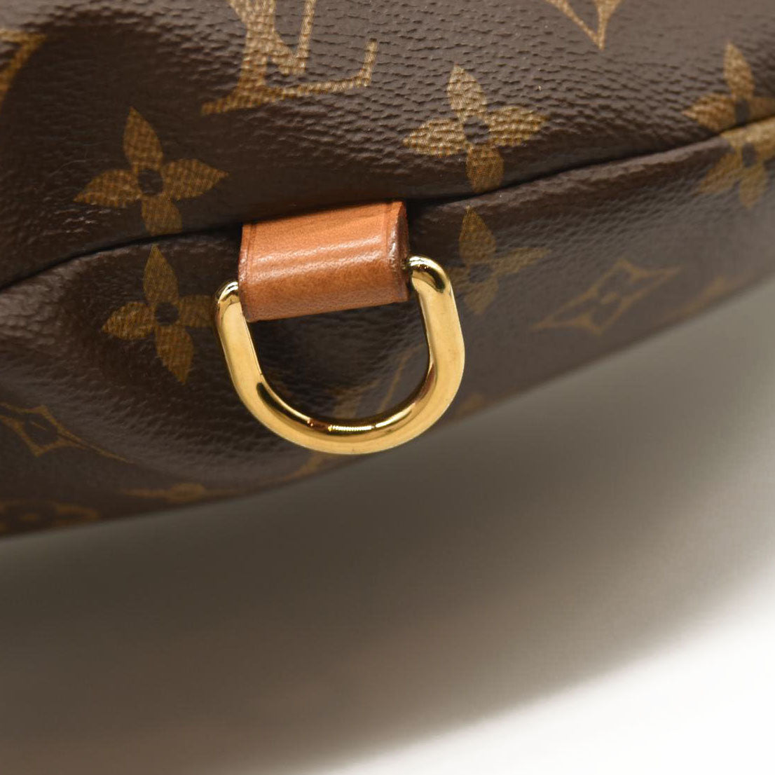 Louis Vuitton Monogram Bumbag MI4270