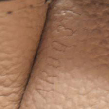 Louis Vuitton Monogram Cosmetics Pouch AR0031