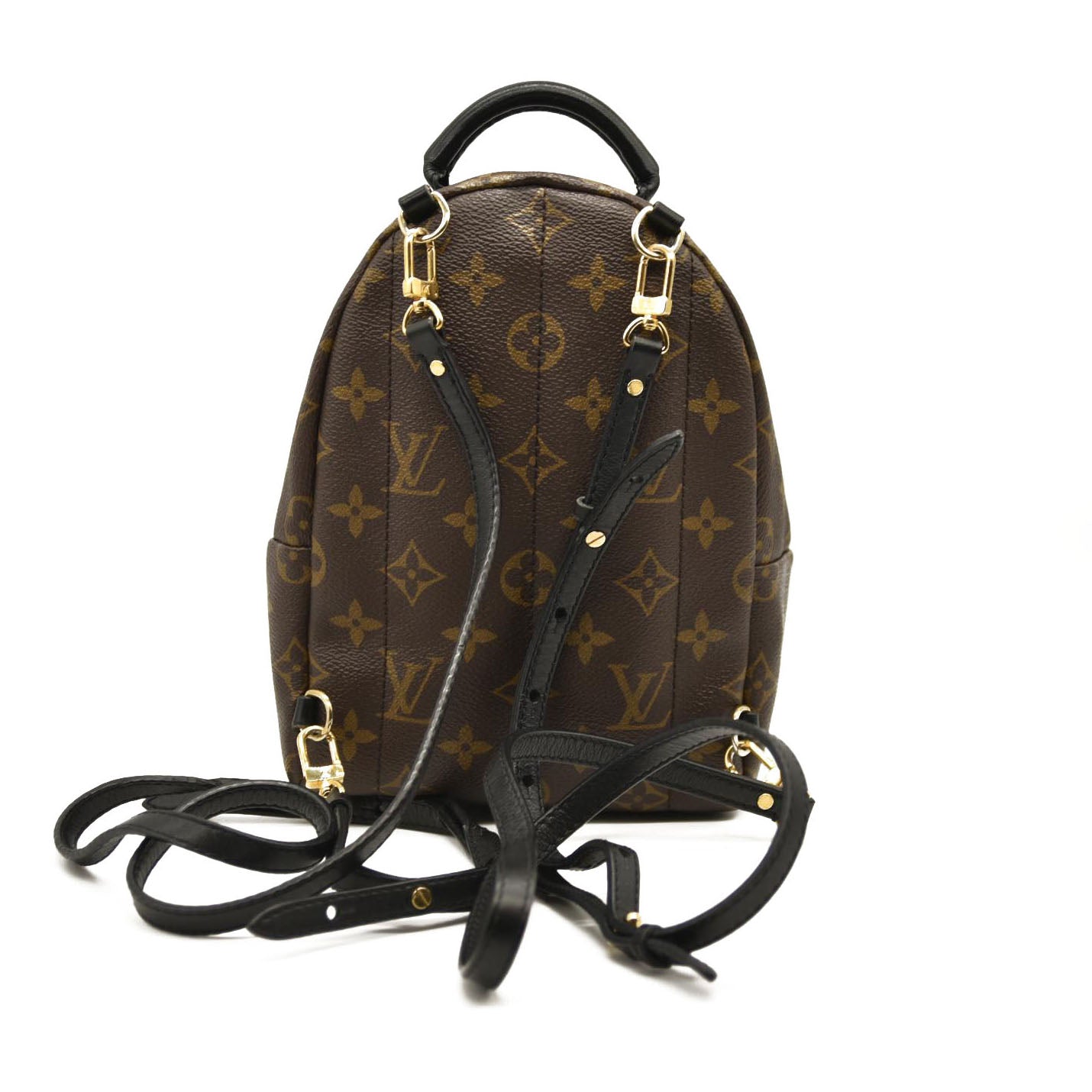 LOUIS VUITTON Monogram Palm Springs Backpack Mini CA4158