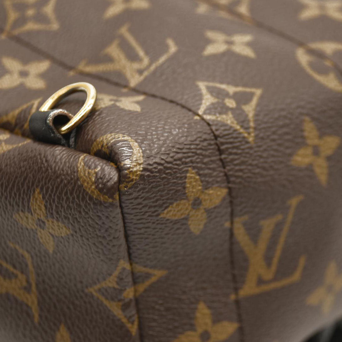 LOUIS VUITTON Monogram Palm Springs Backpack Mini CA4158