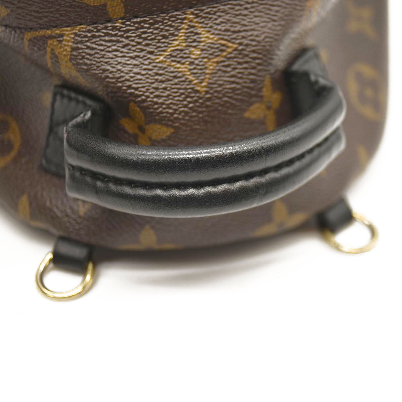 LOUIS VUITTON Monogram Palm Springs Backpack Mini CA4158