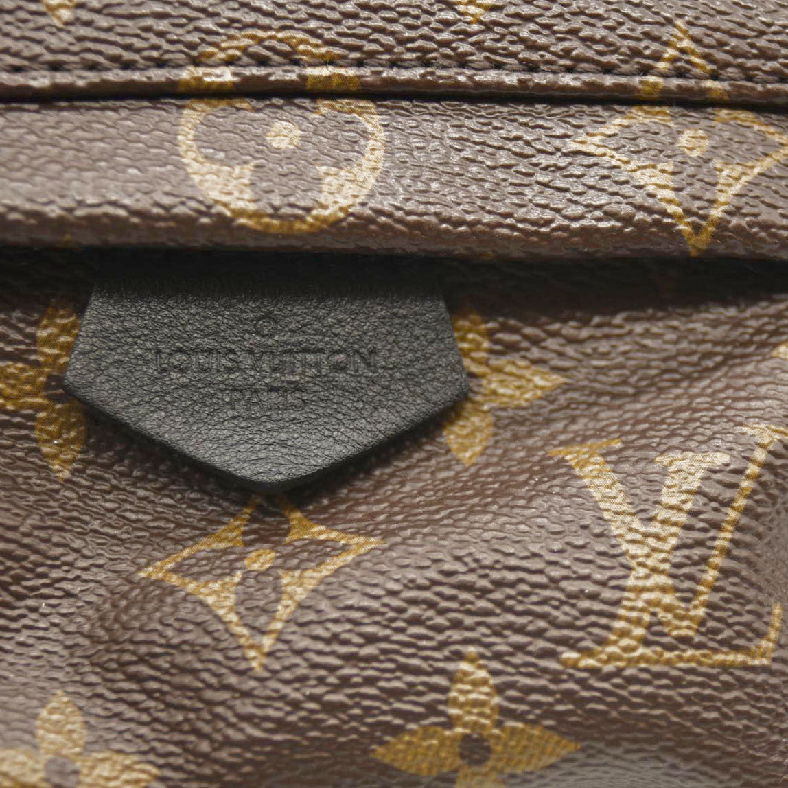 LOUIS VUITTON Monogram Palm Springs Backpack Mini CA4158