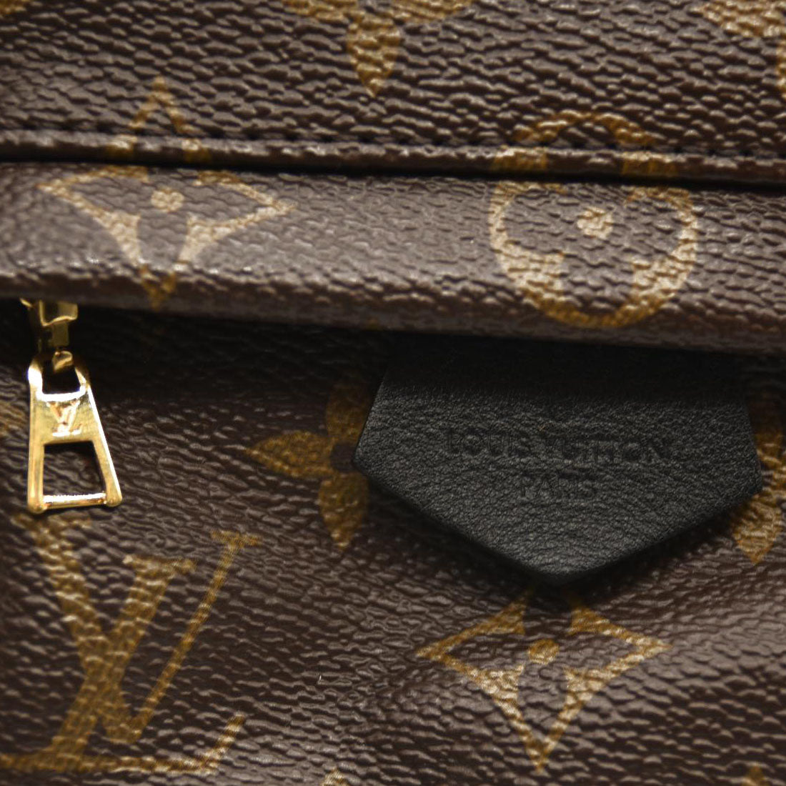 LOUIS VUITTON Monogram Palm Springs Backpack Mini CA4158