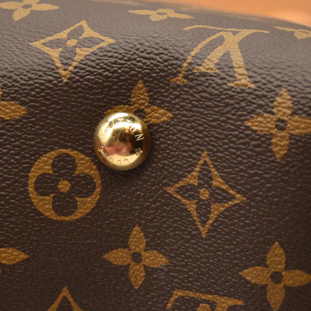 LOUIS VUITTON  Monogram CarryAll MM