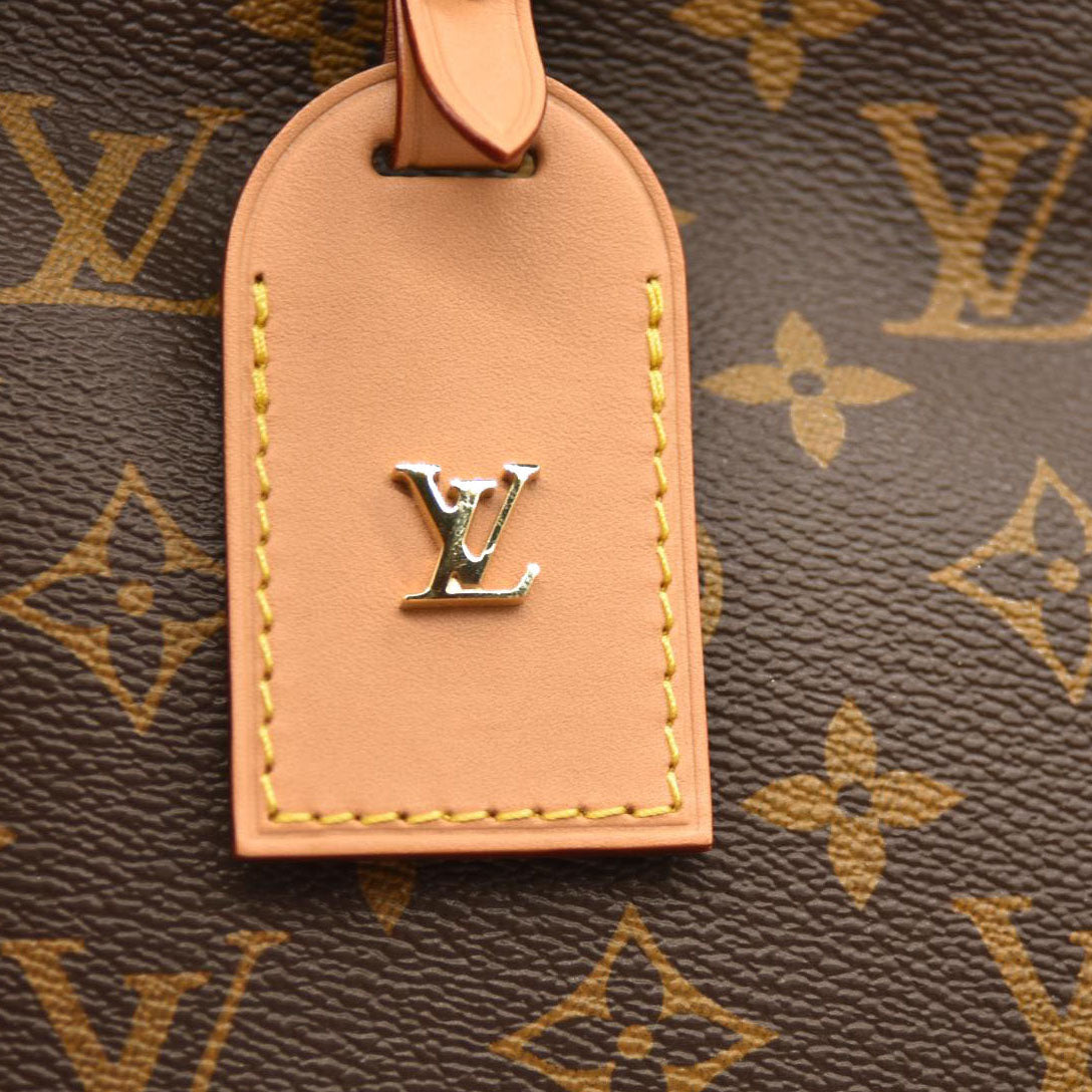 LOUIS VUITTON  Monogram CarryAll MM