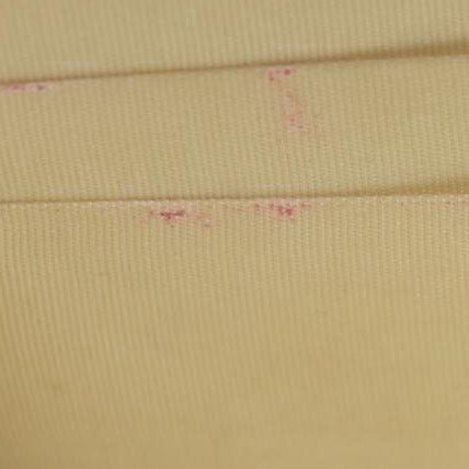 $3425 Chanel Caviar Quilted Boy Wallet On Chain WOC White