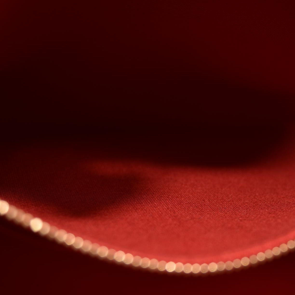 Louis Vuitton  Reverse Monogram Giant Onthego MM