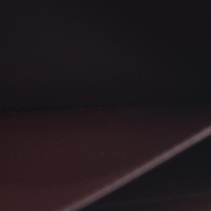 Louis Vuitton  Epi Electric Zippy Wallet Prune