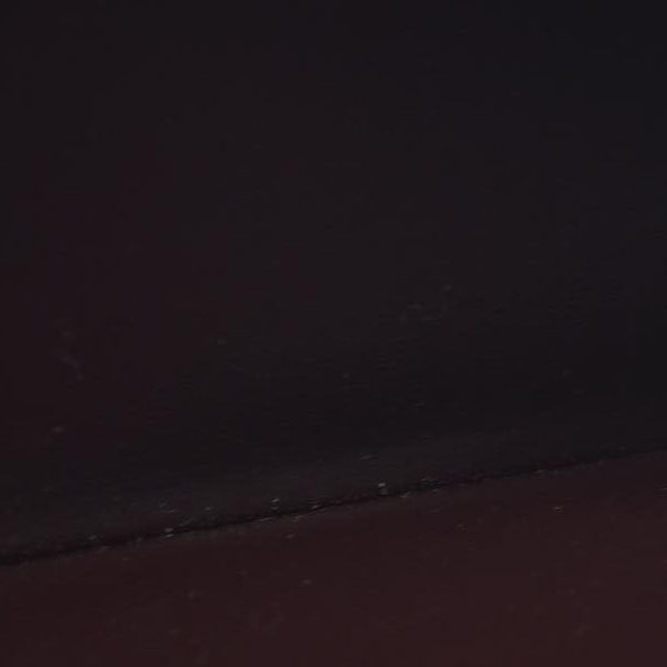 Louis Vuitton  Epi Electric Zippy Wallet Prune