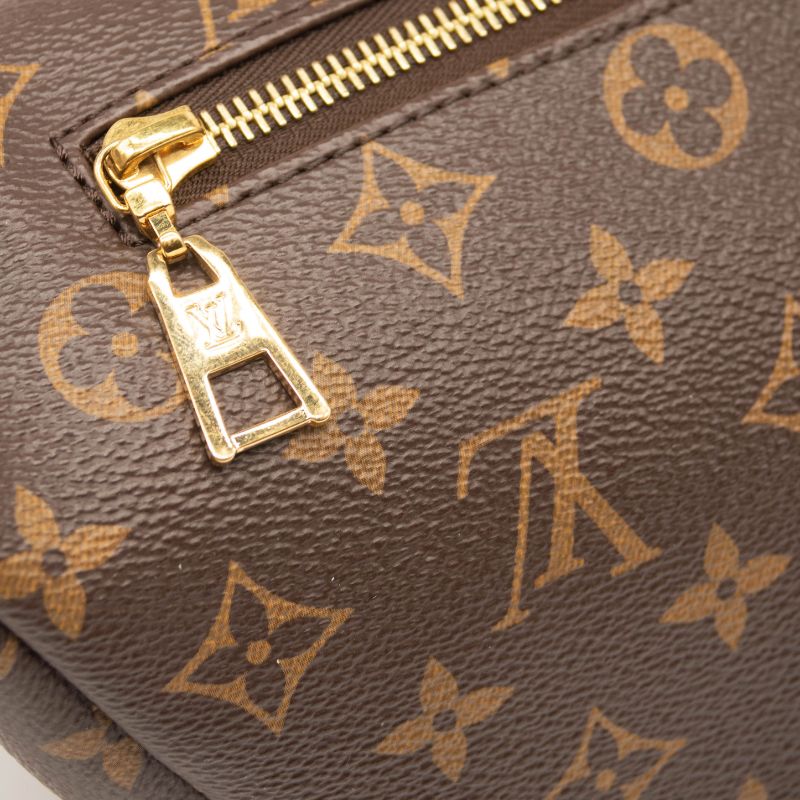 Louis Vuitton Bumbag Brown Monogram Canvas Messenger Bag Fanny Pack 2019