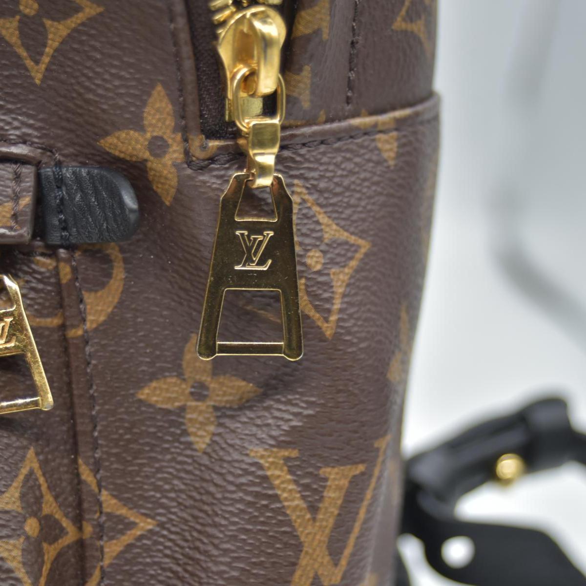 $2570 Louis Vuitton Monogram Palm Springs Backpack PM