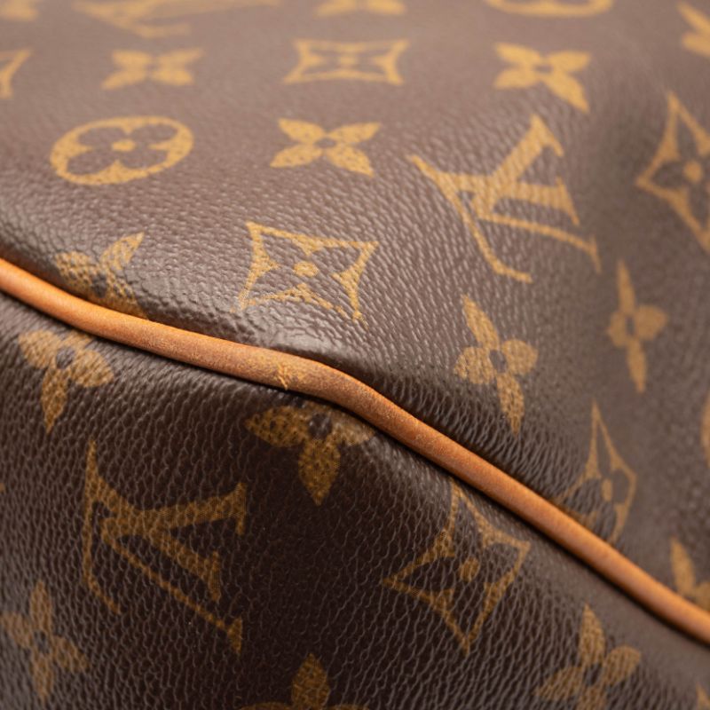 Louis Vuitton Delightful MM Monogram Hobo