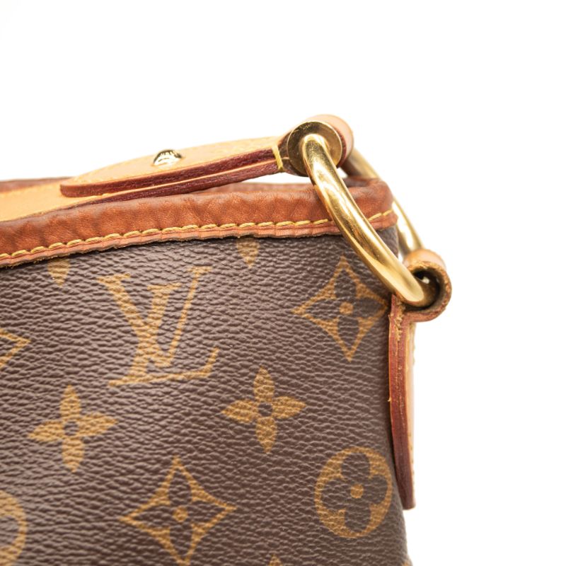 Louis Vuitton Delightful MM Monogram Hobo