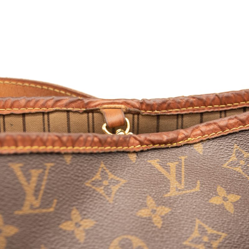 Louis Vuitton Delightful MM Monogram Hobo