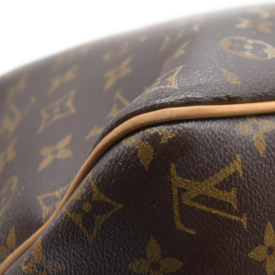 Louis Vuitton 2015 Monogram Pivoine Delightful MM