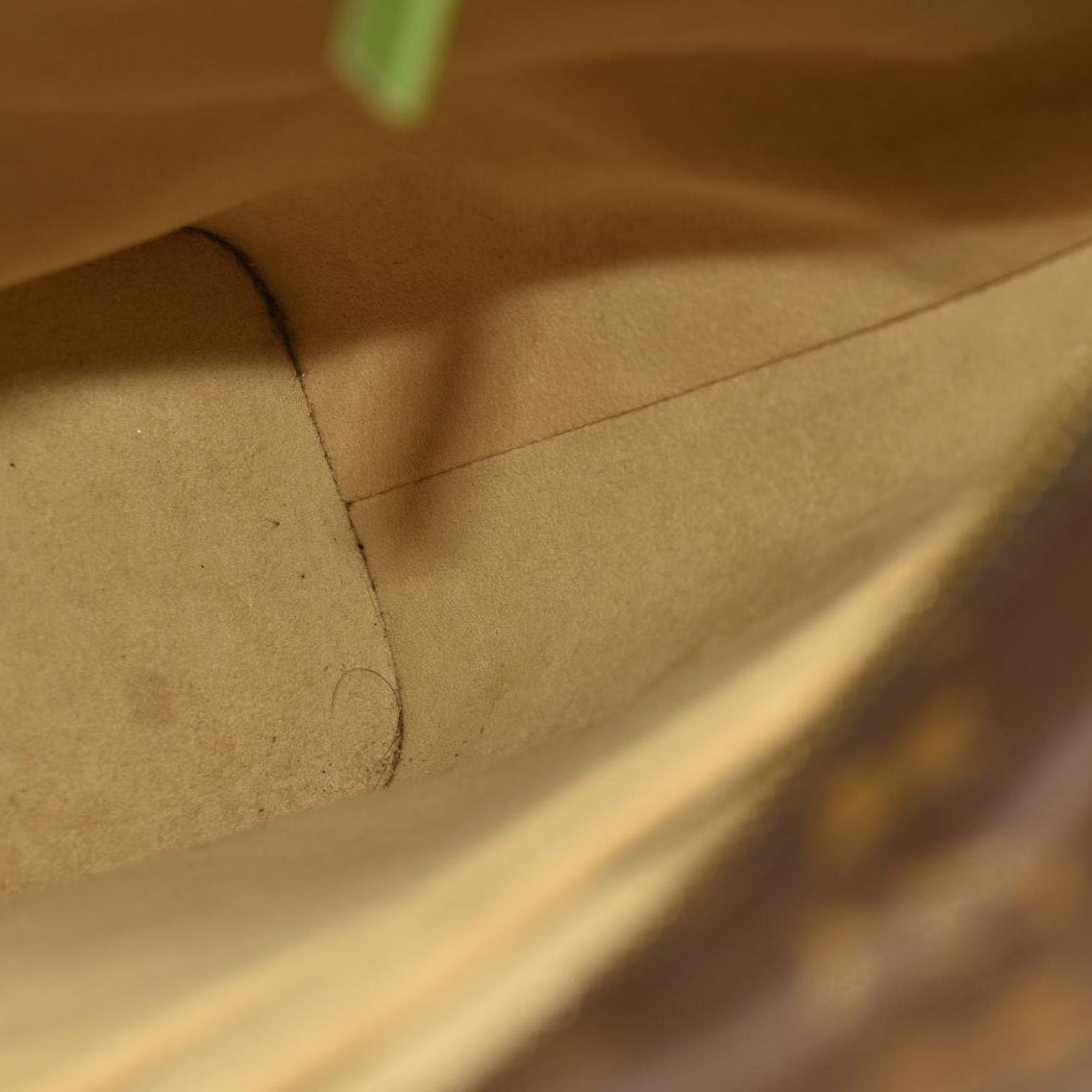 LOUIS VUITTON Monogram Luco LM0021