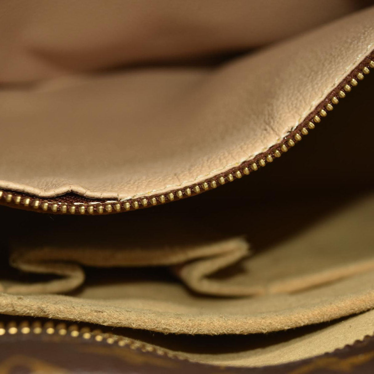 LOUIS VUITTON Monogram Luco LM0021