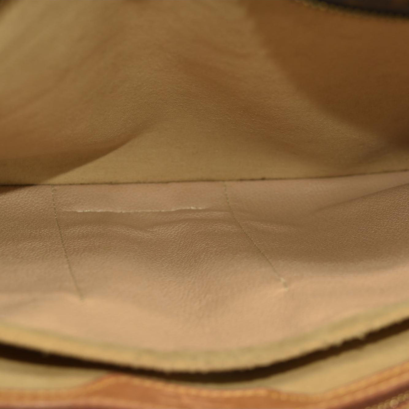 LOUIS VUITTON Monogram Luco LM0021