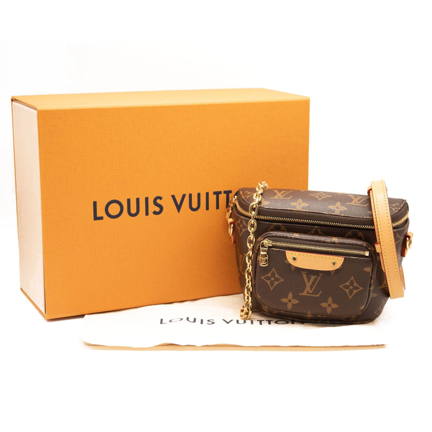 NEW Louis Vuitton Monogram Mini Bumbag M82335