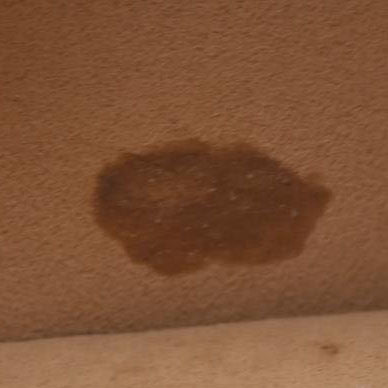 $3100 Louis Vuitton Monogram Giant Multi-Pochette Accessoires Cream