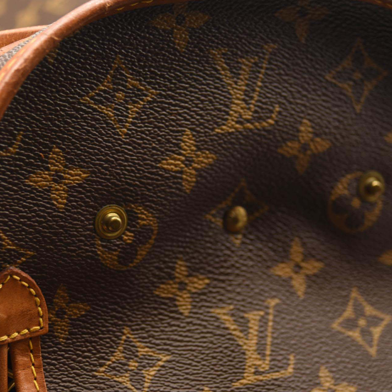 LOUIS VUITTON Monogram Sac Chien 40 Pet Carrier