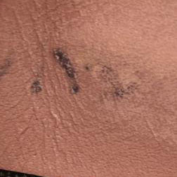 GUCCI Interlocking G GG Logo Canvas Zip Around Long Wallet Beige