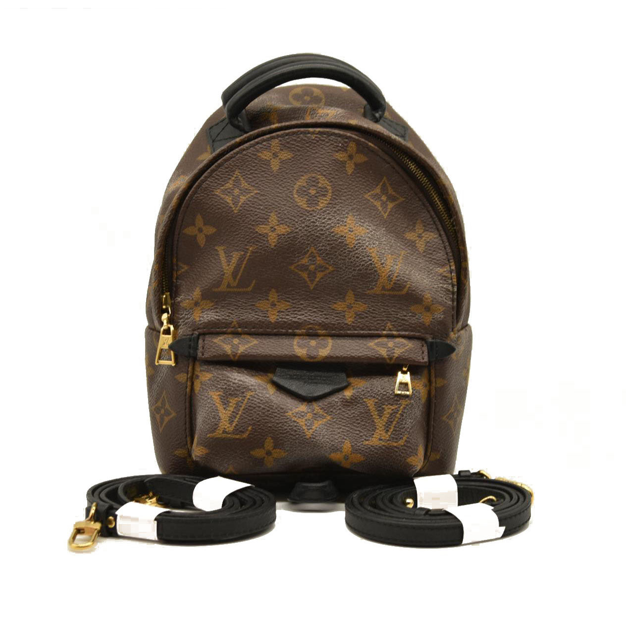 Louis Vuitton  Monogram Palm Springs Backpack Mini